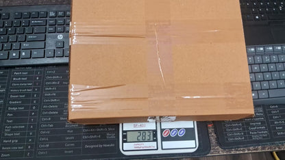 Slide Bucket Lid Mouse Rat Trap with Ramp